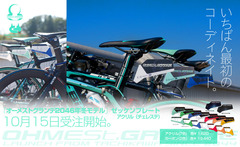 ゼッケンチェレステ02.jpg